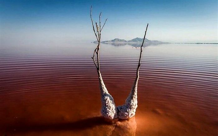 مشاهده موجود عجیب در دریاچه ارومیه صحت ندارد