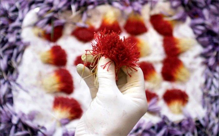 بزرگ‌ترین صادرکننده زعفران سال97 در این صنعت وجود خارجی ندارد