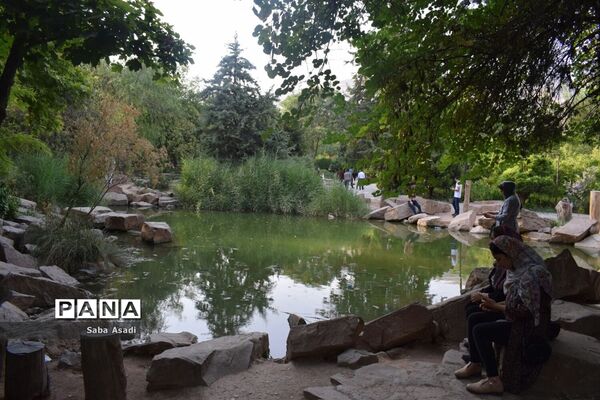 باغ ارم زیبایی چهار فصل شیراز