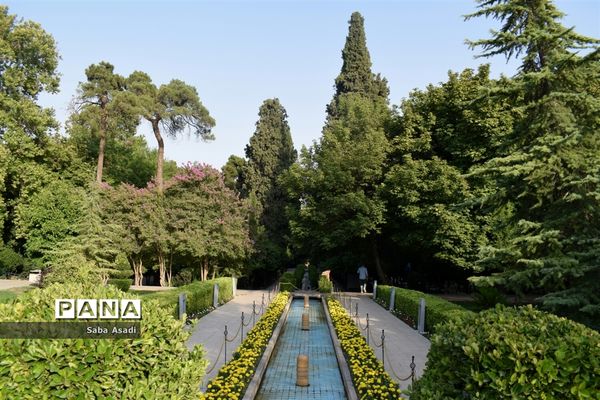 باغ ارم زیبایی چهار فصل شیراز