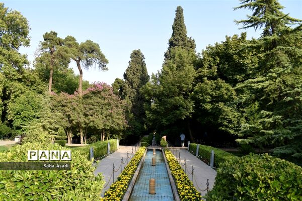 باغ ارم زیبایی چهار فصل شیراز