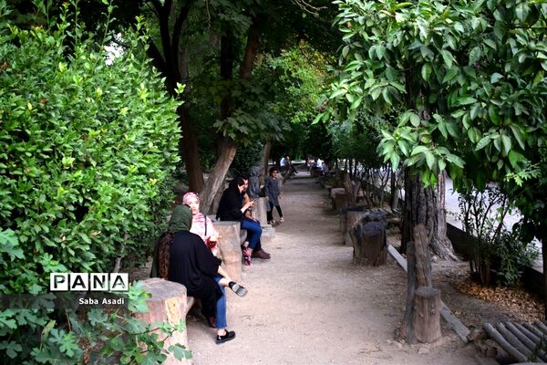 باغ ارم زیبایی چهار فصل شیراز