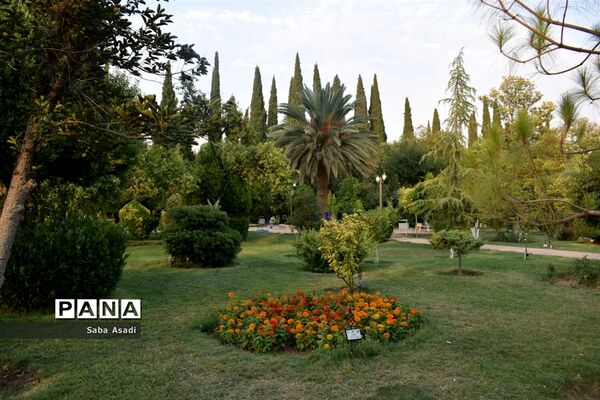 باغ ارم زیبایی چهار فصل شیراز