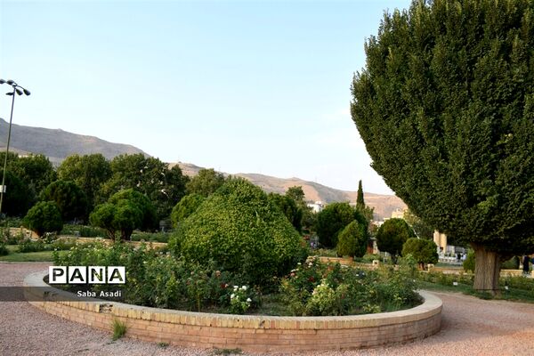 باغ ارم زیبایی چهار فصل شیراز