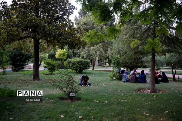 باغ ارم زیبایی چهار فصل شیراز