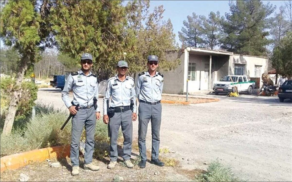 با قطع درختان 40 ساله و آتش زدن چند ده درخت در تربت جام پرونده قضایی تشکیل شد