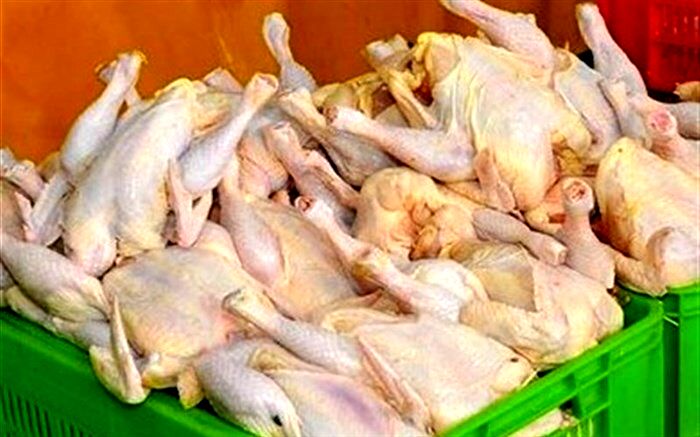 خروج مرغ از آذربایجان غربی ممنوع شد