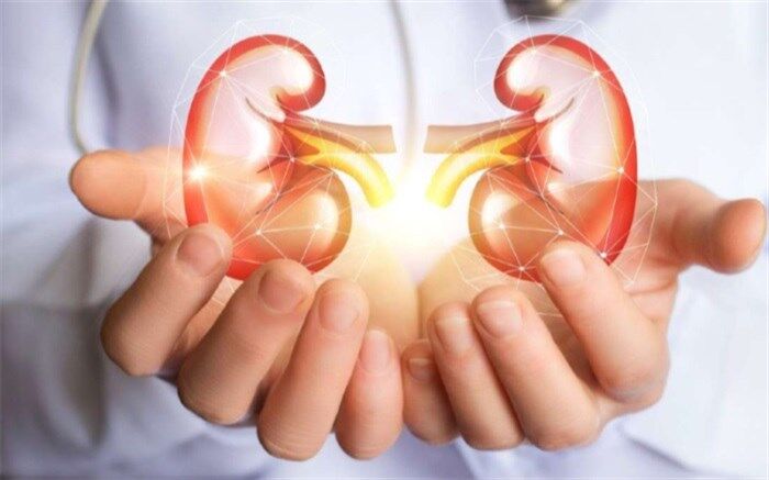راه‌هایی برای مراقبت از کلیه + اینفوگرافی