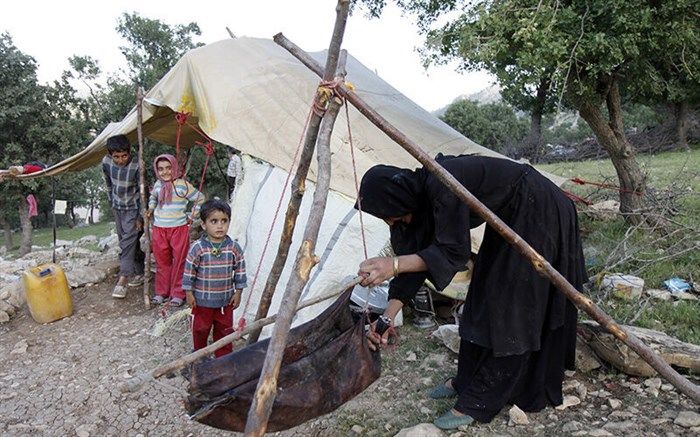 عشایر ۲۵ درصد محصولات دامی آذربایجان‌غربی را تولید می‌کنند