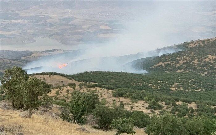 آتش‌سوزی جنگل‌های سردشت مهار شد