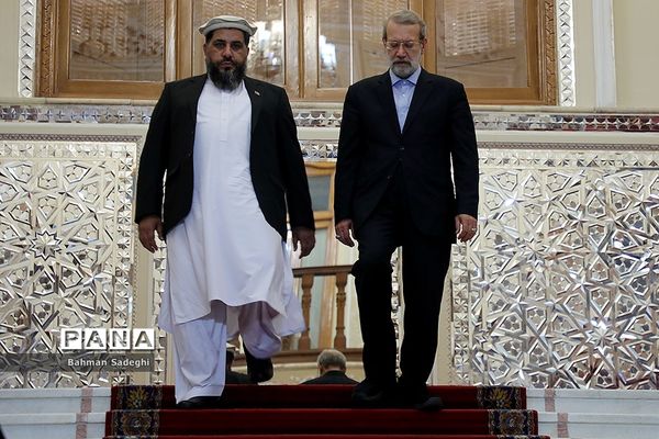 دیدار و کنفرانس خبری رؤسای مجالس ایران و افغانستان