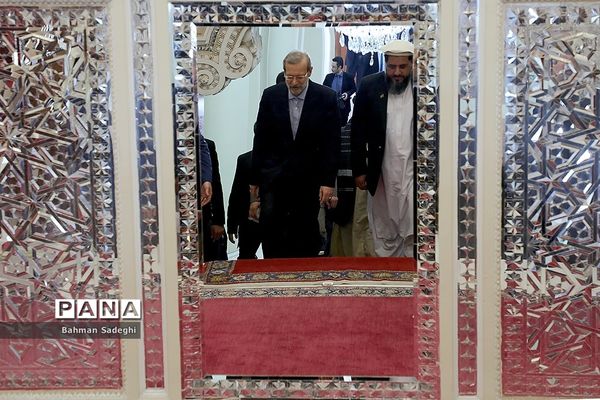 دیدار و کنفرانس خبری رؤسای مجالس ایران و افغانستان