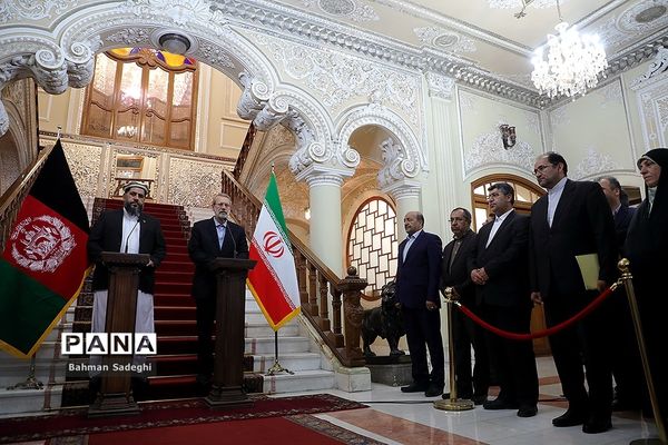 دیدار و کنفرانس خبری رؤسای مجالس ایران و افغانستان