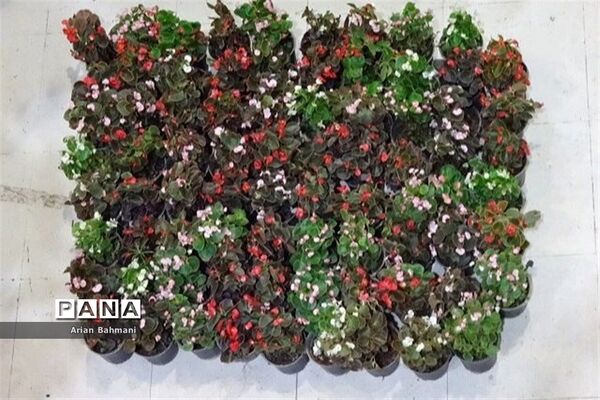 نمایشگاه گل‌های تزیینی کاسپین زنجان