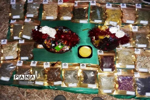 حضور پیشتازان دختر سازمان دانش آموزی آذربایجان غربی دراردوی ملی