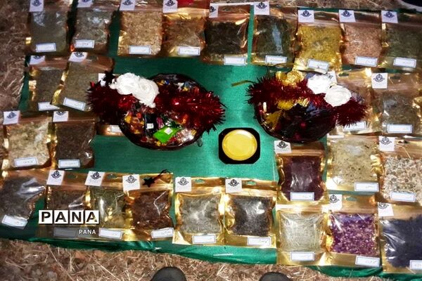 حضور پیشتازان دختر سازمان دانش آموزی آذربایجان غربی دراردوی ملی