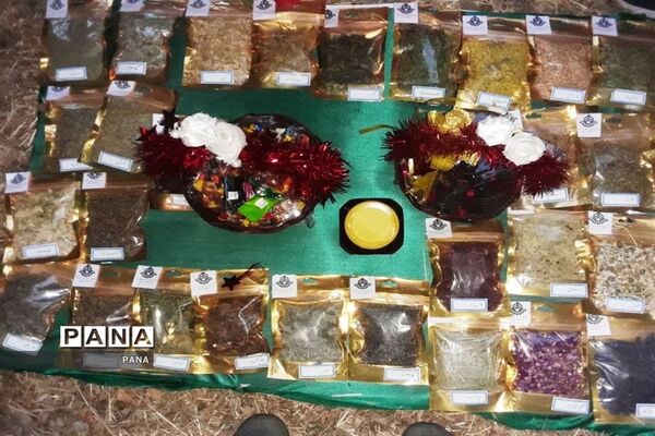حضور پیشتازان دختر سازمان دانش آموزی آذربایجان غربی دراردوی ملی