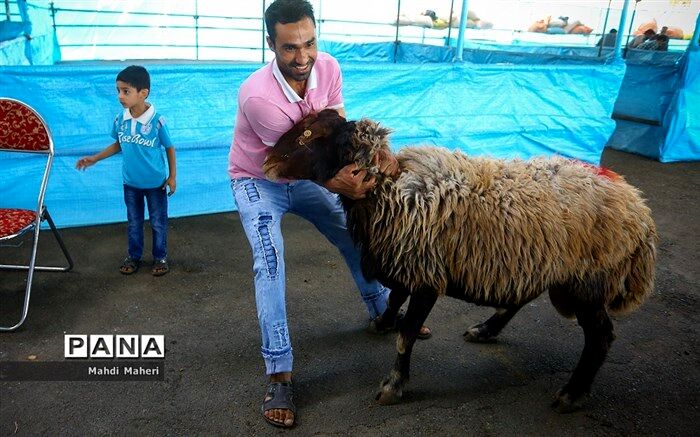 آمادگی ۱۵۰ پایگاه تهران برای دریافت نذورات عید قربان + آدرس