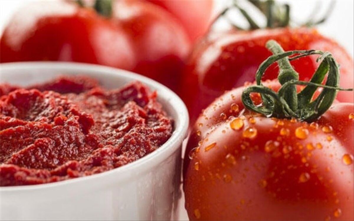 معمای گوجه‌فرنگی ارزان و رب گران