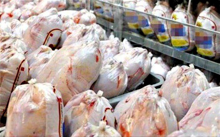اختلاف قیمت مرغ در بین استان‌ها  و  احتمال خروج مرغ از استان