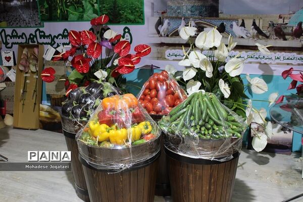 چهارمین نمایشگاه توانمندی‌های روستاییان و عشایر کشور