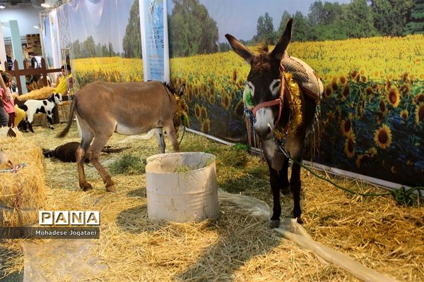 چهارمین نمایشگاه توانمندی‌های روستاییان و عشایر کشور