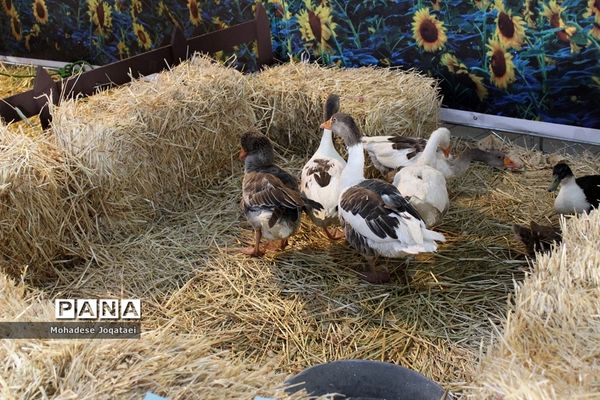 چهارمین نمایشگاه توانمندی‌های روستاییان و عشایر کشور