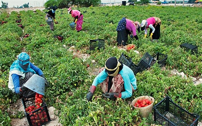 زنجانی ها چطور از سیل کره گرفتند؟
