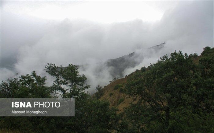 ۹ نکته درباره ریه‌های تنفسی ایران در غرب کشور