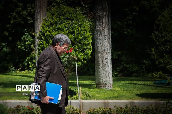 در حاشیه جلسه هیئت دولت