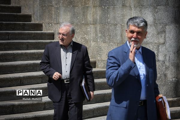 در حاشیه جلسه هیئت دولت