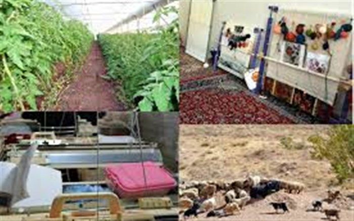 17 طرح اشتغال زایی روستایی در آذربایجان غربی راه اندازی می شود