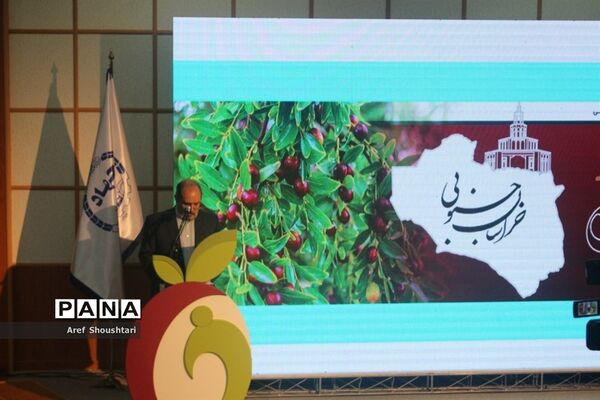 اولین همایش ملی عناب در بیرجند