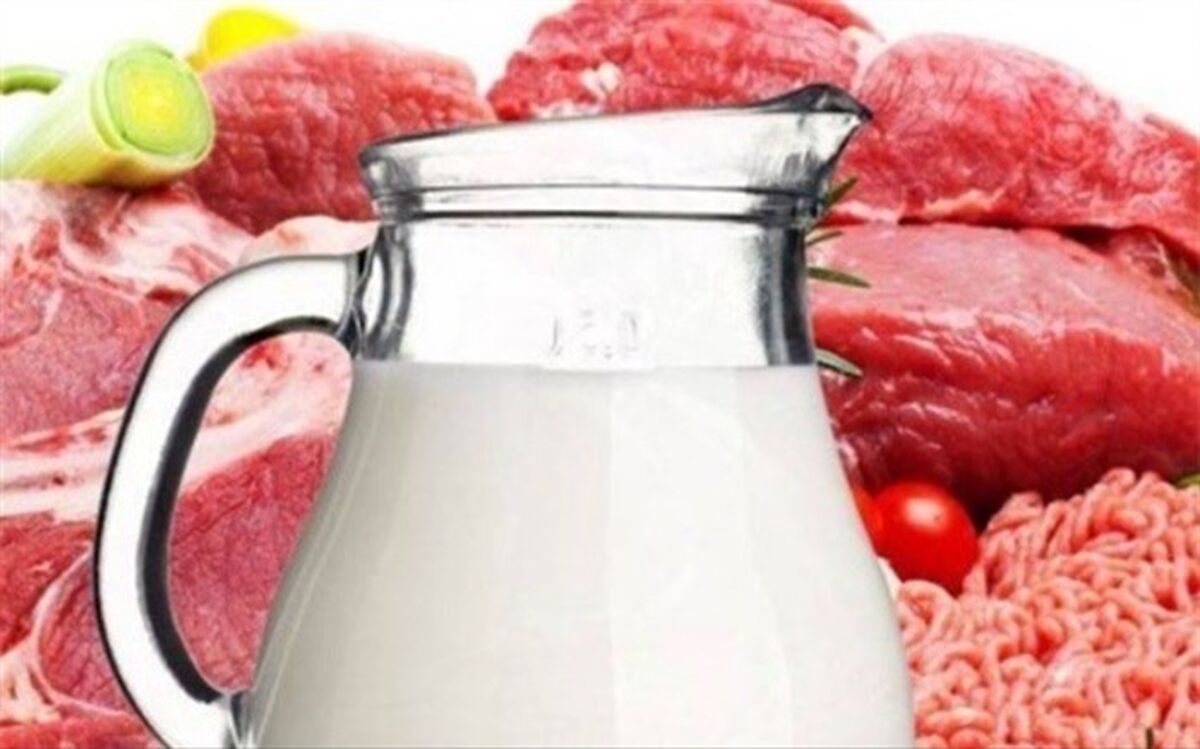 جزئیات صادرات گوشت و لبنیات در سال گذشته