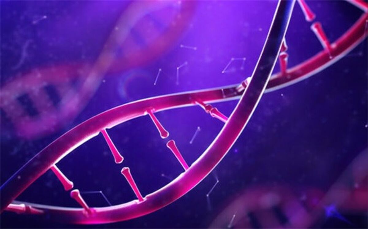 آیا طلاق گرفتن در DNA وجود دارد؟+ فیلم