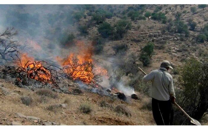 آتش‌سوزی در مزارع و مراتع گچساران مهار شد