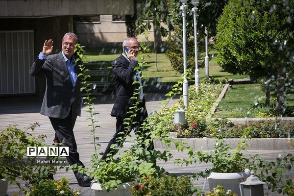 در حاشیه جلسه هیات دولت