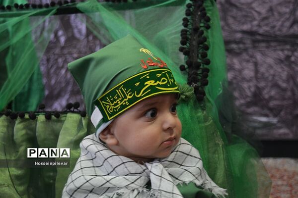 همایش بزرگ شیر خوارگان در سالن شهیدین  قاسمی بیرجند
