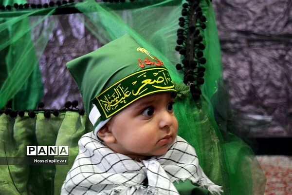 همایش بزرگ شیر خوارگان در سالن شهیدین  قاسمی بیرجند