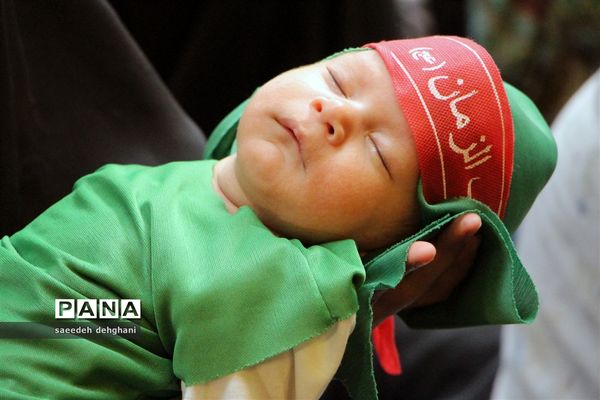 پانزدهمین همایش جهانی شیرخوارگان حسینی در شیراز