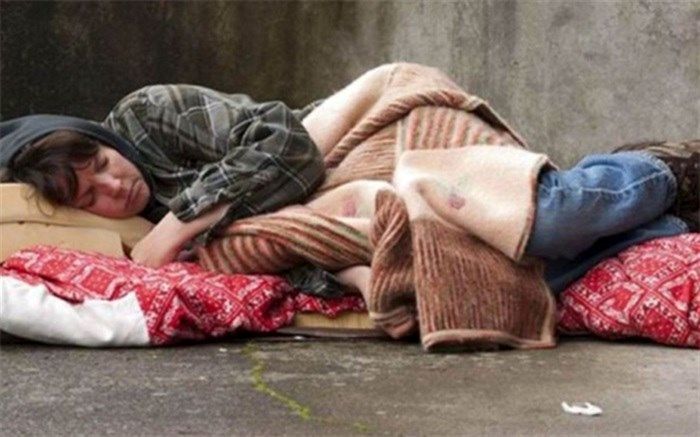 آموزش به زنان کارتن خواب در عدم فرزندآوری موثر خواهد بود