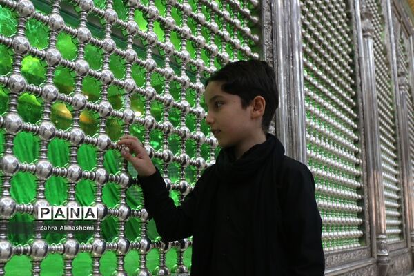 برگزاری مراسم احلی من العسل در شهر تهران