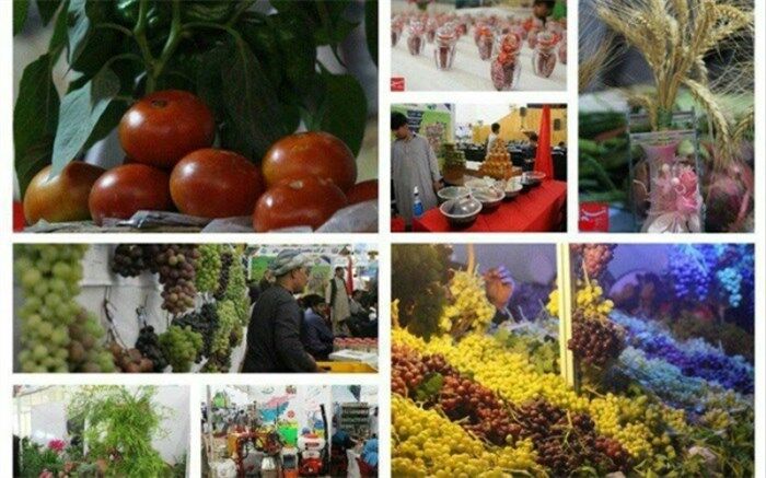 تا زمانى‌که آب برای کشاورزان رایگان است، شاهد دشت‌هاى خشکیده در استان هستیم