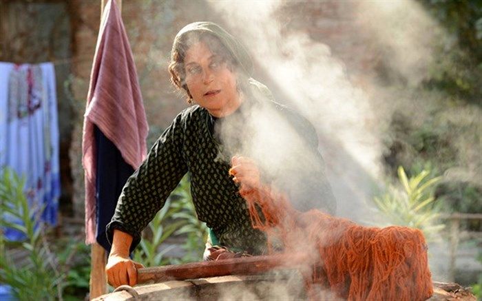 بنفشه آفریقایی در راه شرق آسیا