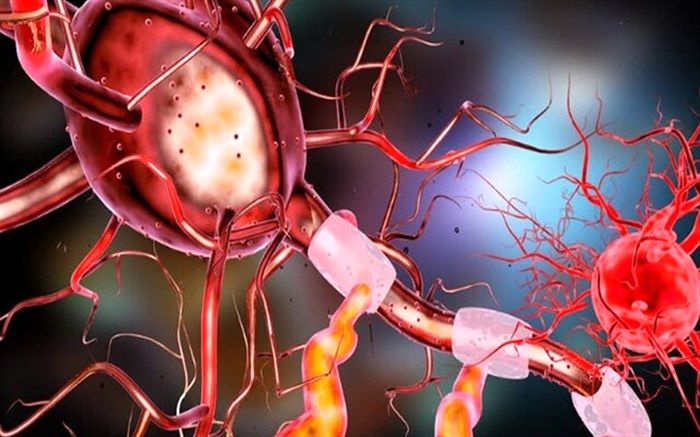 شناسایی فرآیندی که در بروز بیماری آلزایمر موثر است