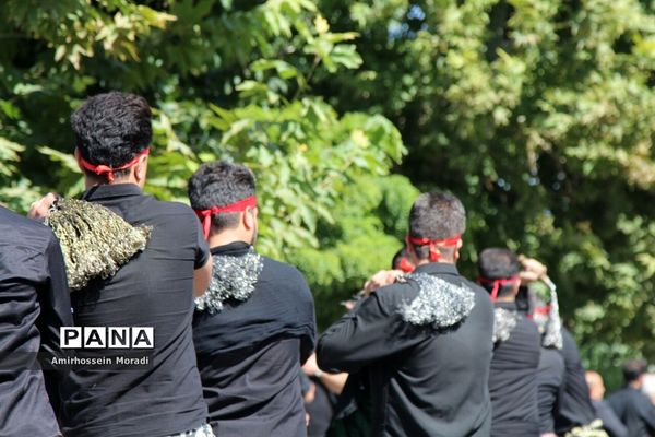 مراسم عزاداری تاسوعای حسینی در همدان