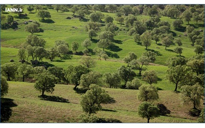 تعیین تکلیف اراضی اختلافی میان اوقاف و منابع طبیعى در شهرستان سروستان