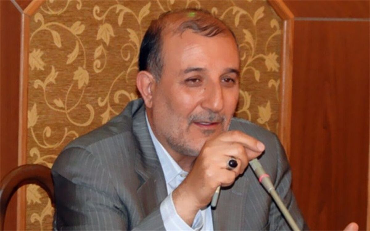 نماینده مردم کرج در مجلس شورای اسلامی : آسیب شناسی فعالیت شوراها ضروری است