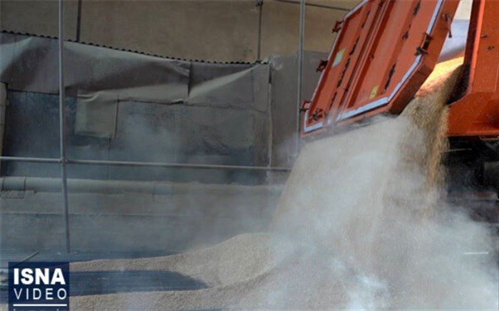 خیانت هزار میلیارد تومانی در نان شب!+ویدئو