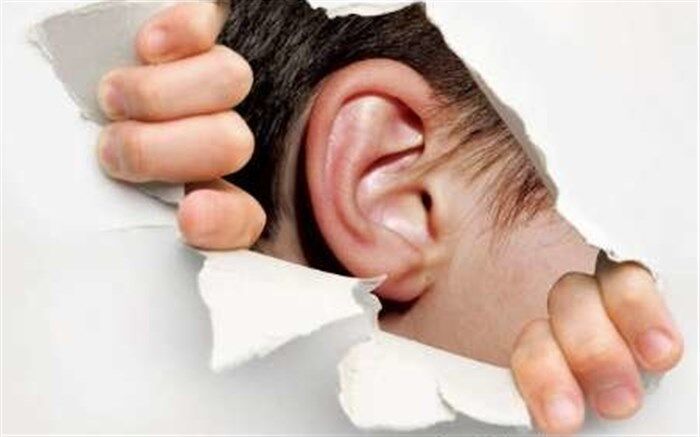 بهره مندی ۵ هزار ناشنوای استان اردبیل از خدمات حمایتی بهزیستی